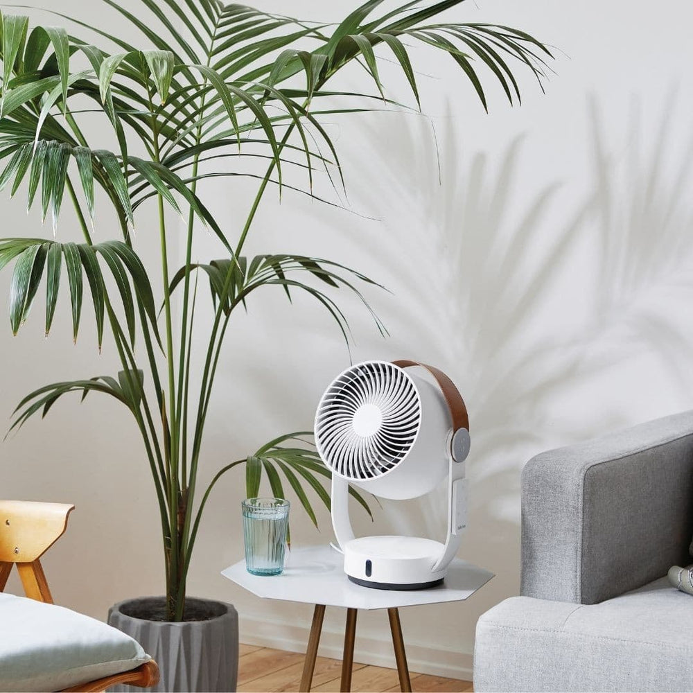 
                  
                    LEO Table Fan.
                  
                